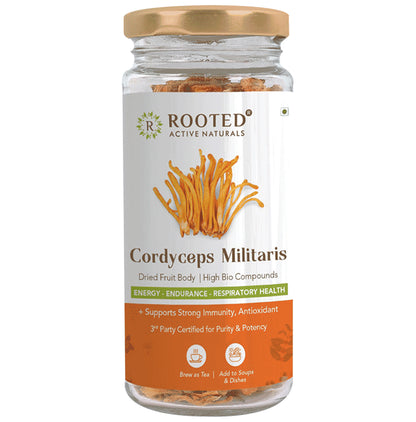 Rooted Active Naturals Cordyceps Militaris Dried Fruit Body - Classic Derma