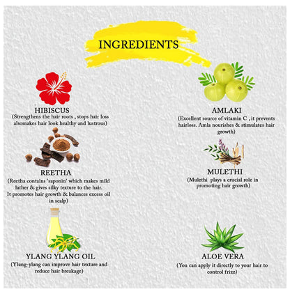 Roots and Herbs Hibiscus Abundant Hair Lep