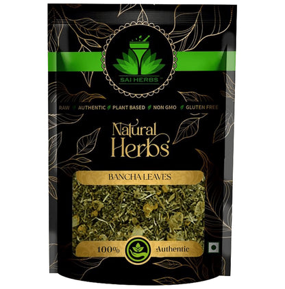 Sai Herbs Bancha Leaves - Classic Derma