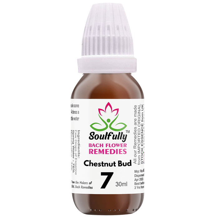 Soulfully Chestnut Bud Bach Flower Remedies Drops - Classic Derma