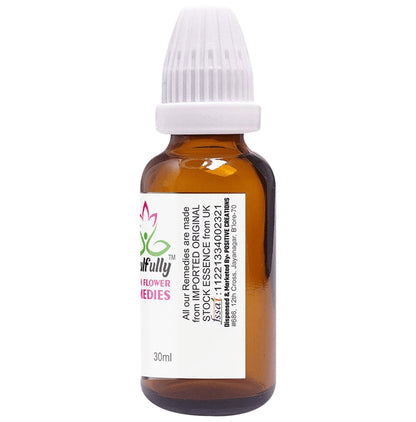 Soulfully Rock Water Bach Flower Remedies Drops