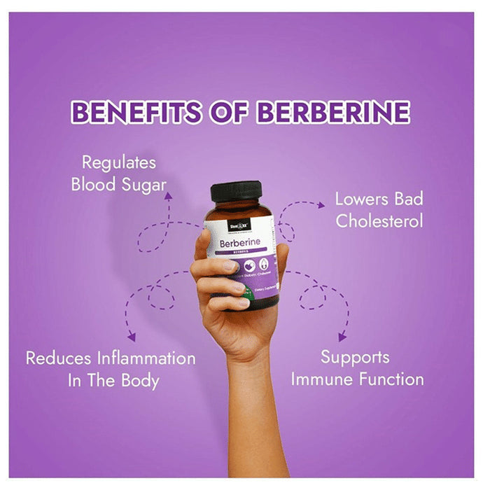Buy StemRx Berberine Multivitamin, Cholesterol Lowering Supplement ...