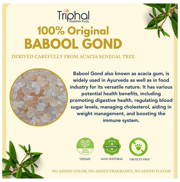 Triphal Babool Gond/ Acacia Gum/ Gond Batan/ Gond Kikar