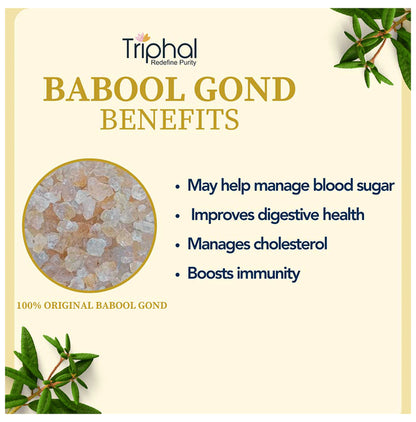 Triphal Babool Gond/ Acacia Gum/ Gond Batan/ Gond Kikar