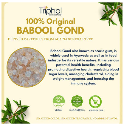 Triphal Babool Gond/ Acacia Gum/ Gond Batan/ Gond Kikar