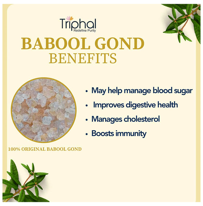 Triphal Babool Gond/ Acacia Gum/ Gond Batan/ Gond Kikar