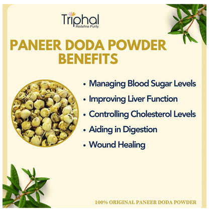 Triphal Paneer Doda/ Paneer Phal/ Withania Coagulans Powder