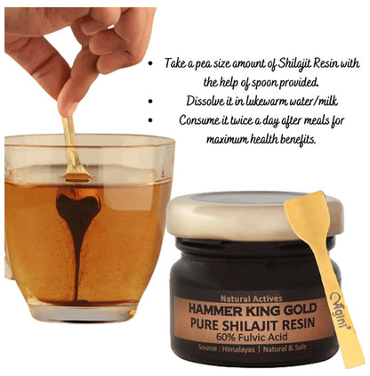 Vigini Hammer King Gold Pure Himalayan Shilajit Resin