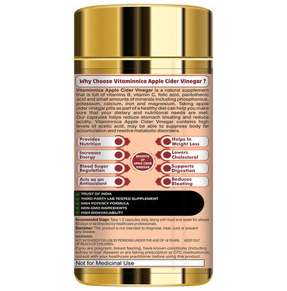 Vitaminnica Apple Cider Vinegar & Curcumin 500mg Veg Capsule