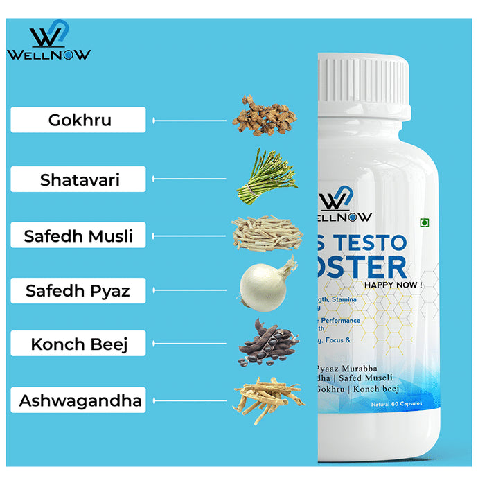 Wellnow Men's Testo Booster Capsules for Stamina, Focus & Stress (60 Each)