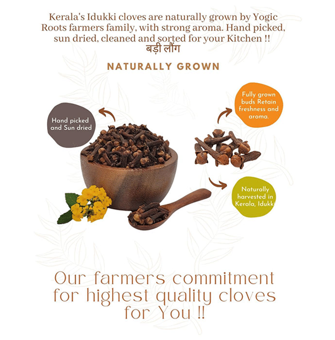 Yogik Roots Kerala's Idukki Cloves