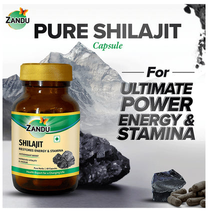 Zandu Shilajit Capsule for Energy & Stamina