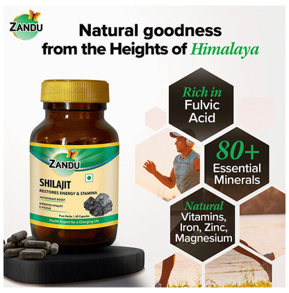 Zandu Shilajit Capsule for Energy & Stamina