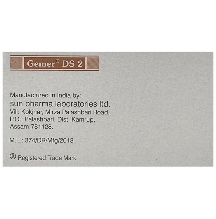 Gemer DS 2 Tablet PR