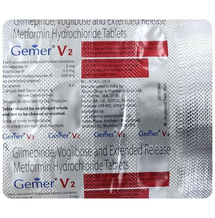 Gemer V2 Tablet