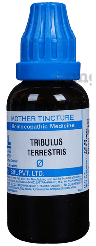 SBL Tribulus Terrestris Mother Tincture Q